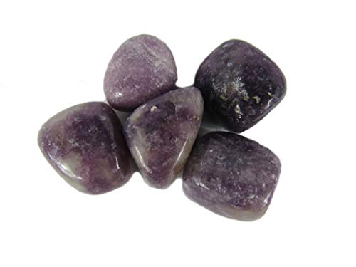 CircuitOffice 5 Piece Lepidolite Tumbled Stone (0.75" - 1") - Healing Stones, Metaphysical Healing, Chakra Stones for Wicca, Reiki, Healing, Metaphysical, Chakra, Positive Energy or Gift