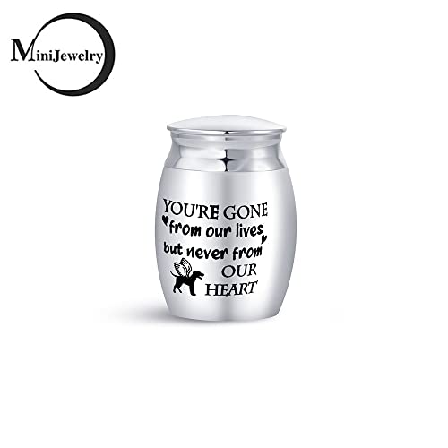 Mini Cremation Urn for Ashes Dog Doggy Kitten Puppy Pets Sepulchral Cinerary Funeral Keepsake Memorial Decorate Bottle Jar Lovr Heart Forever For Dog