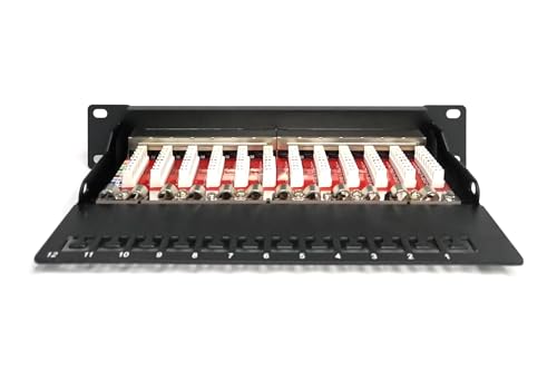 Digitus 10-inch Item | 12 x RJ45 – 10 Gbps – For 10 inch (254 mm) Network Cabinets – Patch Panel, Distribution Panel – Black Patch-Panel - Cat6A - 12 Port - Gesch. Cat6A - 12 Port - Shielded