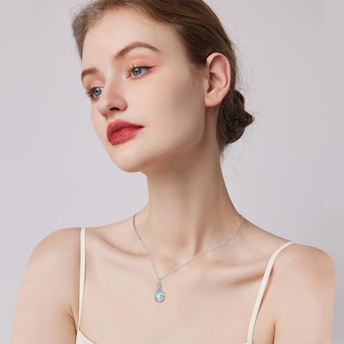 CHENGHONG 925 Sterling Silver Ashes Necklace for Dog - Cremation Jewellery Moonstone Urn Keepsake Memorial Gifts for Pet Lover Loss of Dog Women