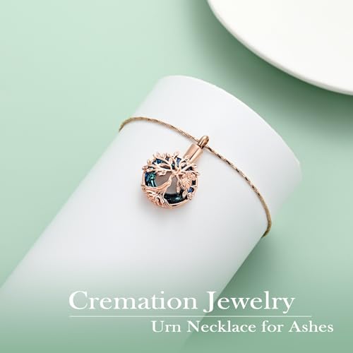 Yinplsmemory Owl Cremation Jewelry Urn Ashes Necklace for Women Rose gold-blue