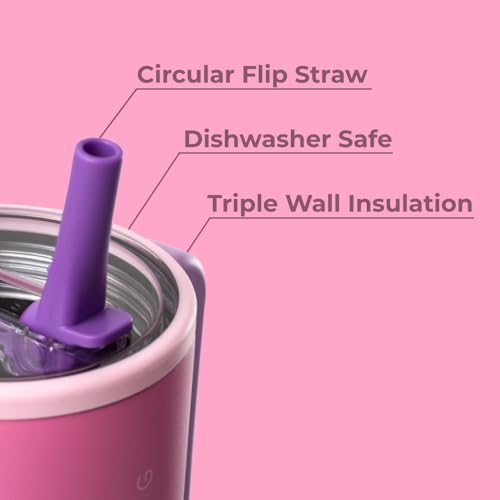 HydroJug Traveler 32oz, Insulated Tumbler with Handle & Straw, Pink Sugar