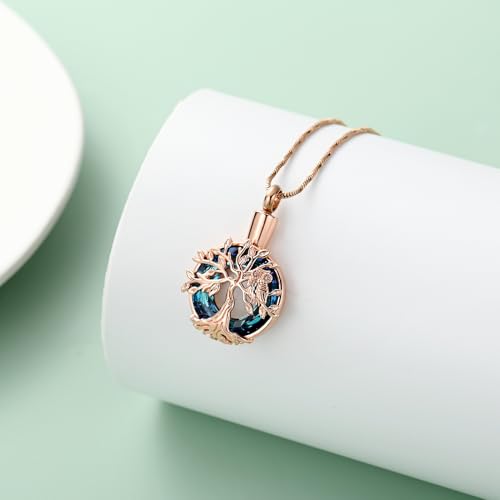 Yinplsmemory Owl Cremation Jewelry Urn Ashes Necklace for Women Rose gold-blue