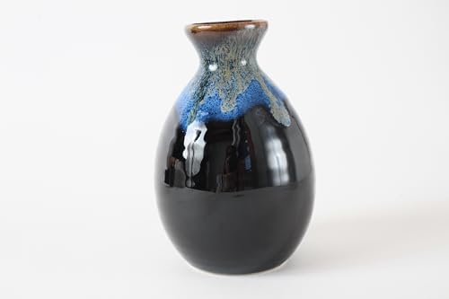 Mino ware Japanese Ceramics Sake Set (1 Bottle & 2 Cups) Tokkuri Carafe & Sakazuki Ochoko made in Japan (Japan Import) KZG001 (Black & Gold) Black & Gold