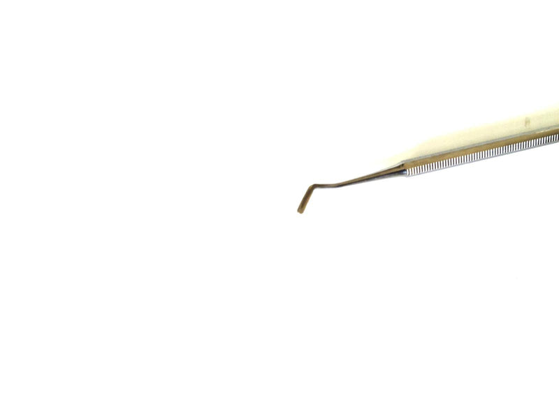 [Australia - AusPower] - Woodson Plastic Filling Plugger # 2 Dental Composite Amalgam Double Ended Instruments 