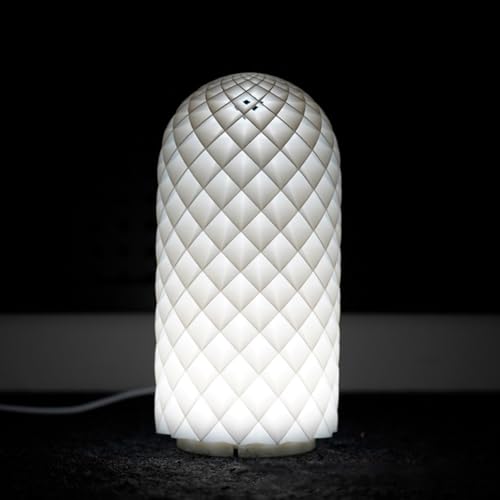 2 Pieces 3D Printer LED Lamp Kit, LED Lamp Lighting Kit for 3D Printer Models, Night Light Models Replacement for 3D Printing Accessories, USB Powered Free Control LED Lamp Set for Bambu Lab A1/A1