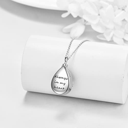 ONEFINITY Dragonfly Urn Necklace For Ashes 925 Sterling Silver Dragonfly Cremation Jewellery For Ashes Memory Gifts For Women Men