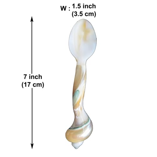 Set of 02 Spoons Shell Spoon Mother of Pearl Caviar Spoons W Round Handle for Caviar, Egg, Ice Cream, Coffee, Restaurant Serving (2 Pieces,7 Inches)