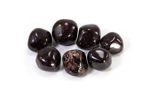 Garnet Tumbled Stone - Healing Stone - Crystal Healing - 20-25mm (1) 1
