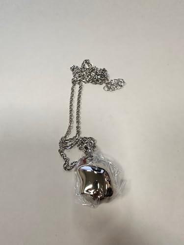 Quiges Stainless Steel Memorial Ash Holder Pet Dog Pendant for Cremation Urn Keepsake with Adjustable Cable Chain Necklace 46 to 52 cm