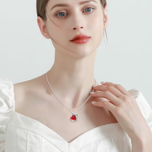 Crystal Heart Urn Necklace for Women Memorial Cremation Locket Pendant Keep Loved Ones Ashes Close Forever&Always in My Heart Silver-Always-Red