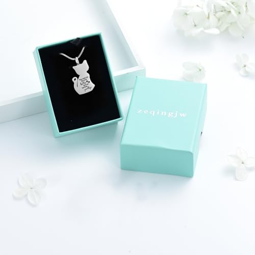 zeqingjw Cat Cremation Jewelry Urn Necklace for Ashes for Pet Loss,Funeral Ashes Keepsake Pendant Memorial Jewellery for Women Men Silver