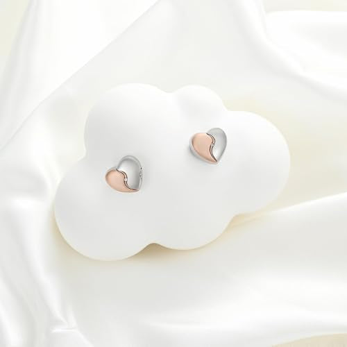 Minicremation Cremation Jewelry for Ashes Urn Ash Heart/Teardrop/Star/Butterfly Earrings for Ashes for Women Urn Keepsake Memorial Earrings Holder for Women Girls Style-Heart-Rose Gold