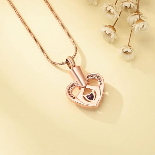 Birthstone Heart Urn Necklace for Ashes Keepsake Memorial Lover Cremation Jewellery for Women Mother Girls Pink-purple