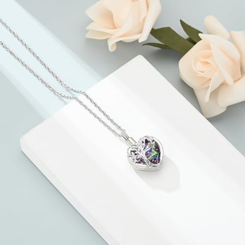 shajwo Hummingbird Cremation Jewelry Heart Urn Necklace for Ashes Purple+rainbow