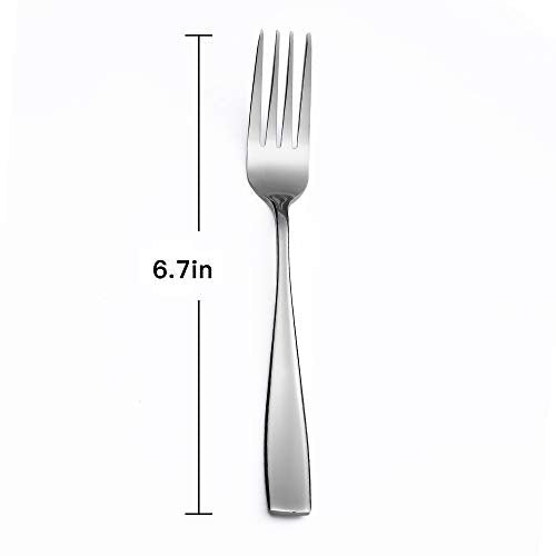 Eslite Staintess Steel Salad Forks Set,6.7-Inch,12-Piece (Pack of 2) 6.7-Inch (Pack of 2)