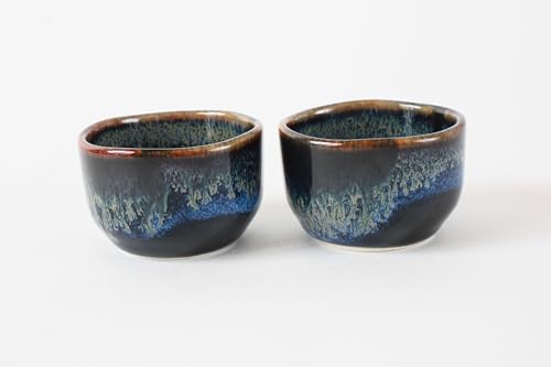 Mino ware Japanese Ceramics Sake Set (1 Bottle & 2 Cups) Tokkuri Carafe & Sakazuki Ochoko made in Japan (Japan Import) KZG001 (Black & Gold) Black & Gold