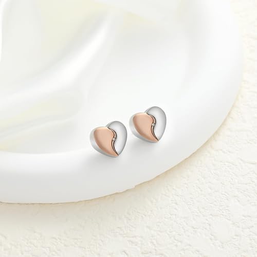 Cremation Jewelry for Ashes Urn Ash Earrings for Ashes for Women Urn Keepsake Memorial Earrings Holder Earrings Jewellery Gift Rose gold