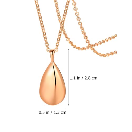 Abaodam Perfume Necklace Aromatherapy Necklace Urn Pendant for Ashes Diffuser Jewelry for Women Pendant with Chain for Essential Oils Personal Fragrance