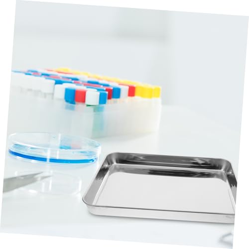 Stainless Steel Instrument Tray 31 x 24 x 2.5 cm Without Cover Medical Tray for Medical Instruments Clinic and Laboratory