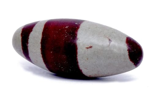 Certified Narmadeshwar Shivling | Sacred Narmada Stone Shiva Lingam Banalinga for Temple & Home | Rare Healing Crystal from Narmada River India – Spiritual Hindu God Idol (2 Inch) 2 Inch