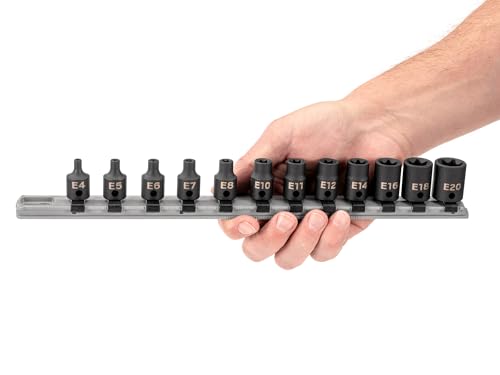 TEKTON 3/8 inch drive external star impact socket set, 12-piece E4-E20 sockets in a storage case