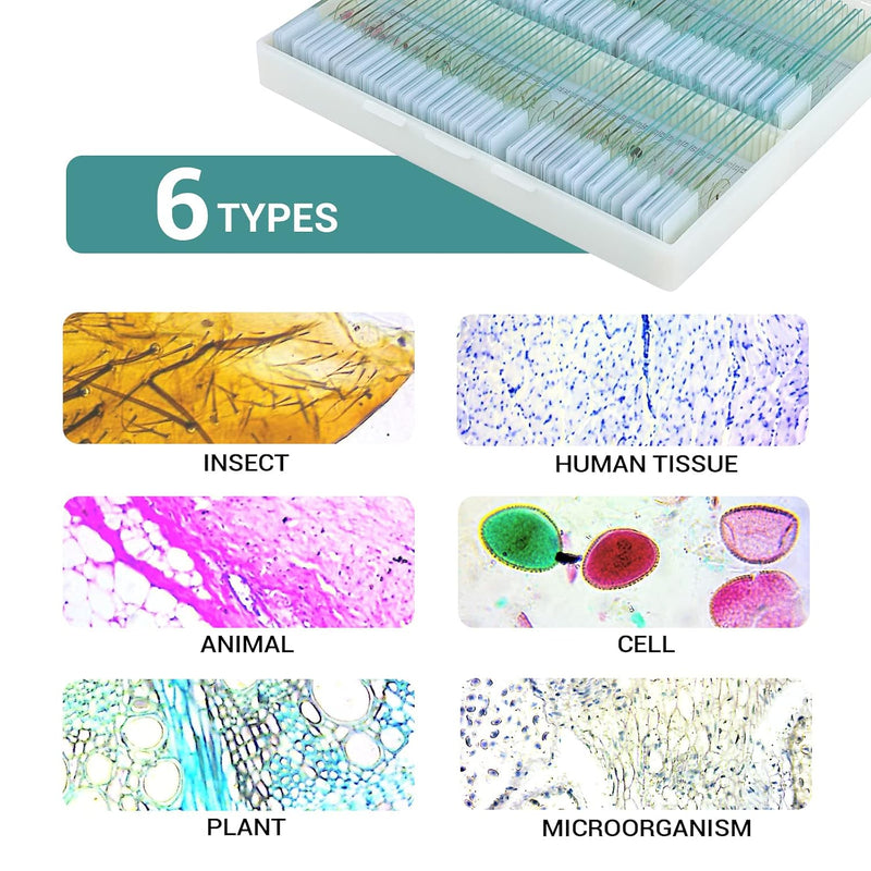 USCAMEL prepared microscope slides with various specimens including bacteria, fungi, human tissues, plants, and insect cells.
