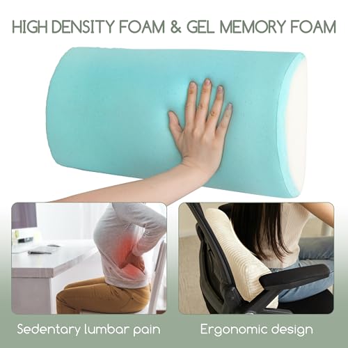 HIGOGOGO Lumbar Support Pillow for Recliner Chair/Accent Chair/Couch, Memory Foam Back Support Cushion for Elderly, Recliner Cushions for Back Rest, Pain Relief, Reading, Washable Cover, Beige 20"x10"x4"