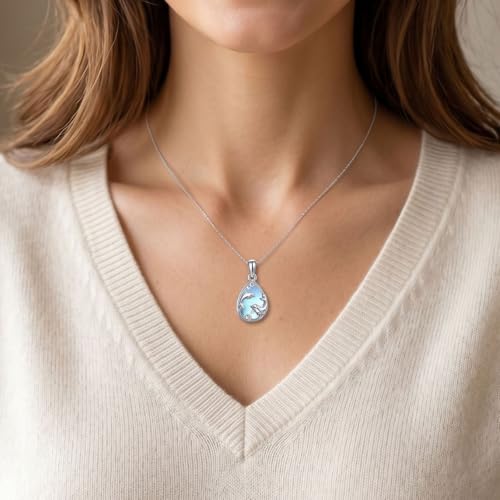 YYB Urn Necklaces for Ashes Moonstone Cremation Necklace Dolphin