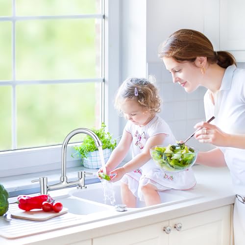Housoutil Kitchen Tap 2 Hole Mixer Dual Handle Basin Faucet for Kitchen Sink and Bathroom Vanity Hot and Cold Water Control Rotating Spout 11.61 X 9.45 X 1.57 in
