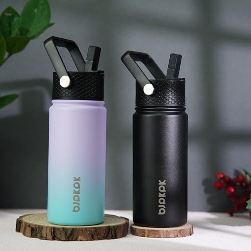 BJPKPK 2 Pack 18oz Insulated Water Bottles with Straw Lids, Stainless Steel 18 oz Lavender Green+Black