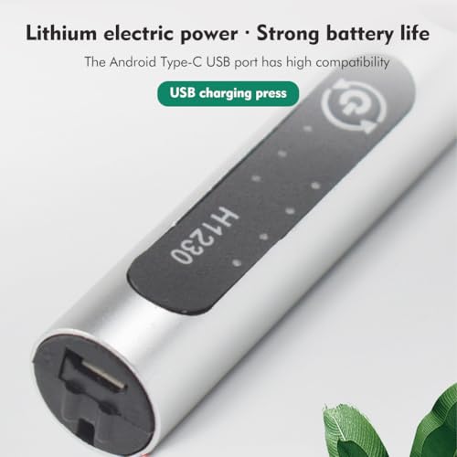 Electric Engraving Tool Kit, USB Cordless Rechargeable Engraving Pen With 4 Tungsten Carbide Tip, Mini DIY Rotary Engraver for Carving Leather Wood Metal Stone Plastic Jewelry Glass(Silver) Silver