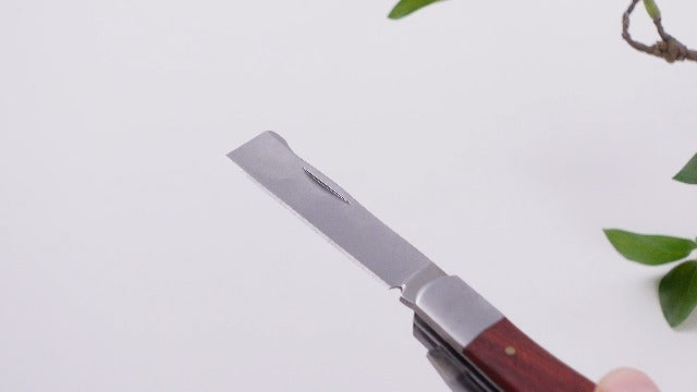 Leriton grafting tool kit with wax, grafting knife, and tape for fruit trees
