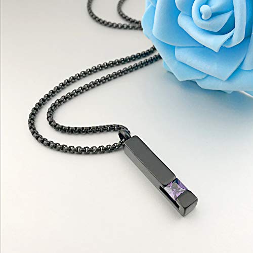 YOUFENG Urn Necklaces for Ashes Birthstone Cube Urns for Human Ashes Memorial Cremation Urn Locket Keepsake Ashes Jewelry February