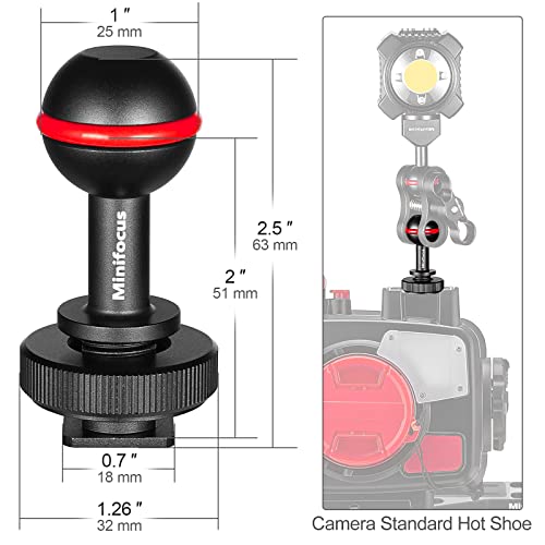 MINIFOCUS 1" Ball Head Cold Shoe Base Adapter, Universal Ball Joint Bracket with Cold Shoe Base Adapter for Diving Light Underwater Camera Waterproof Housings Case Video/Flash/Strobe Hot Shoes