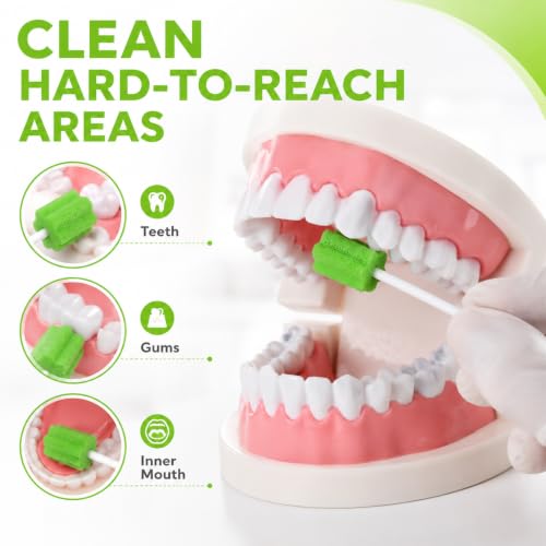 Pack of 100 Oral Care Sticks Foam Green Oral Hygiene Cotton Buds | For oral hygiene, dental care and cleaning hard-to-reach areas, gentle and effective for daily use