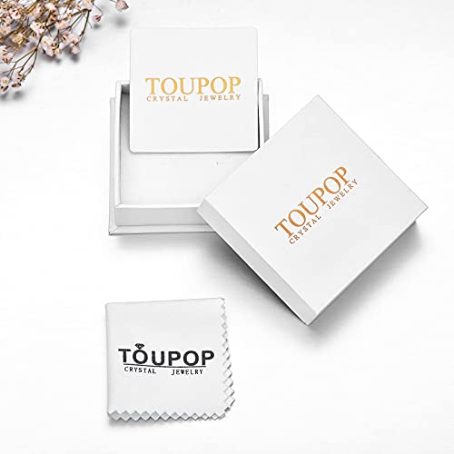 TOUPOP Cat Cremation Jewelry for Ashes Sterling Silver Cat Moon Urn Necklace that Hold Human Pet Ashes Memorial Keepsake Jewelry Black Cat
