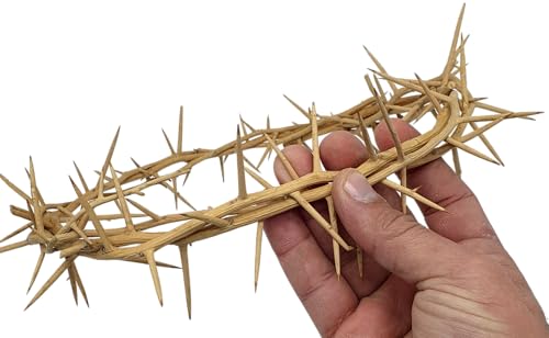 ZULUF 7.5" Crown of Thorns from Bethlehem Jerusalem – Authentic Holy Land Passion of Christ Gift Boxed Ornament HLG027