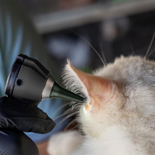 Mini Pocket Fibre Optic Otoscope for Adult Kids with Extra Replaceable LED Light and Stainless Steel Earwax Removal Tool (Silver) Silver