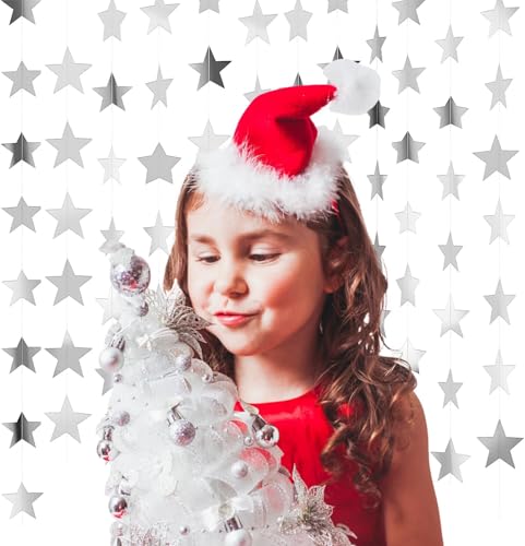 26 Feet Reflective Star Paper Garland - Sparkling Star Bunting Banner Hanging Decoration,Sparkling Bunting Banner - for Birthday Holiday Wedding Anniversary Theme Party Supplies (silver) Silver