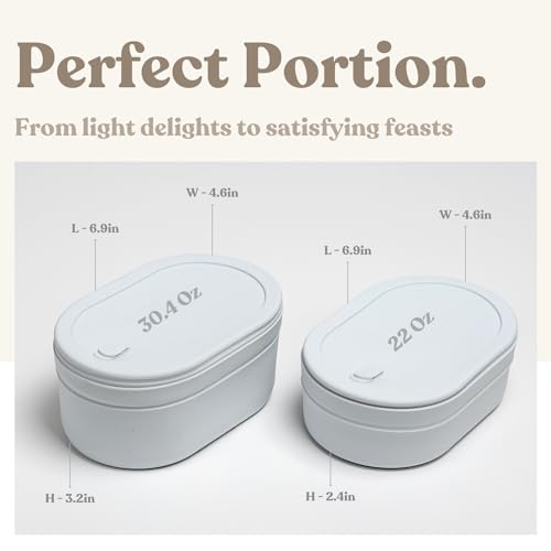 Ceramic Bento Lunch Box with Silicone Lid & Compartment Divider for Adults, Reusable Airtight Meal Prep Food Storage, Sandwich, Snack, Salad Container, Microwave Oven Safe (Lilac, 30.4 Oz) 1 Count (Pack of 1) Lilac