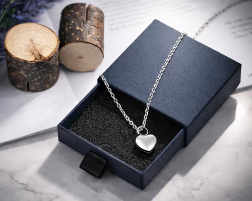 DS. DISTINCTIVE STYLE Heart Urn Necklaces for Ashes, Cremation Jewelry for Women, Memorial Urn Locket Pendant, Stainless Steel