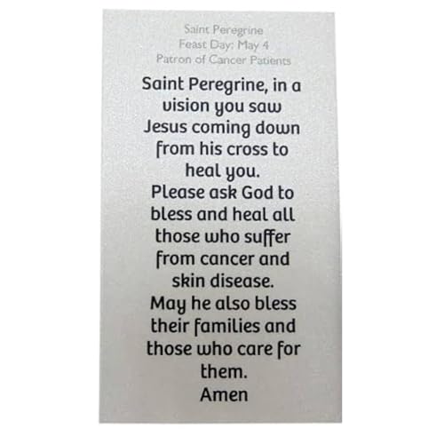 Westmon Works St Peregrine Solid Pewter Saint Medal Necklace Gift Set