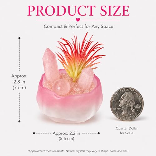 Natural Crystal Healing Stones Set with Point & Sphere-Mini Pink