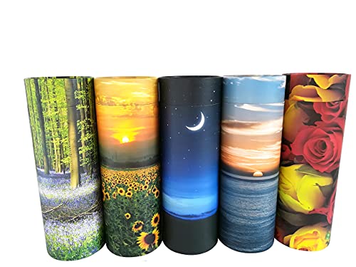 Sunflower Scatter Tubes for Adult Ashes – Biodegradable Cardboard Cremation Urns (Large) L