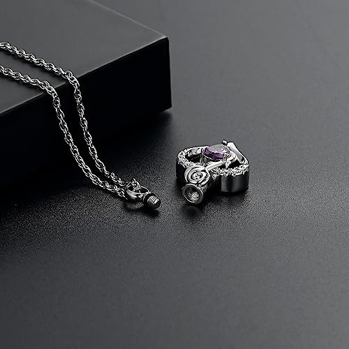Roseflower Cremation Jewelry Heart Urn Necklace for Ashes for Women Gilrs Memorial Keepsake Birthstone Pendant Necklaces for Ashes of Loved Ones Silver-purple