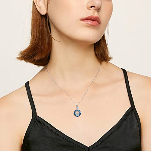 Dog/Cat and Girl Jewelry Sterling Silver 925 Women's Cat Dog Necklace/Urn Necklaces, Pet Cremation Jewelry Necklace Gifts for Women Girls Women Dog Urn