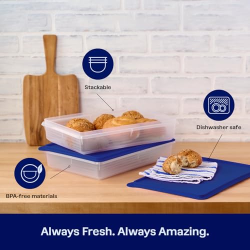 Tupperware Snack-Store Large Container, Dishwasher Safe and BPA Free Container (3.5 L / 14.7 Cups) Rectangular