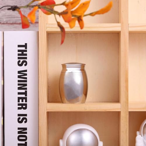 LZZEM Mini Urn for Ashes, Stainless Steel Keepsake Cremation Urn, Waterproof Memorial Ashes Holder, Small Pet and Human Ashes Container