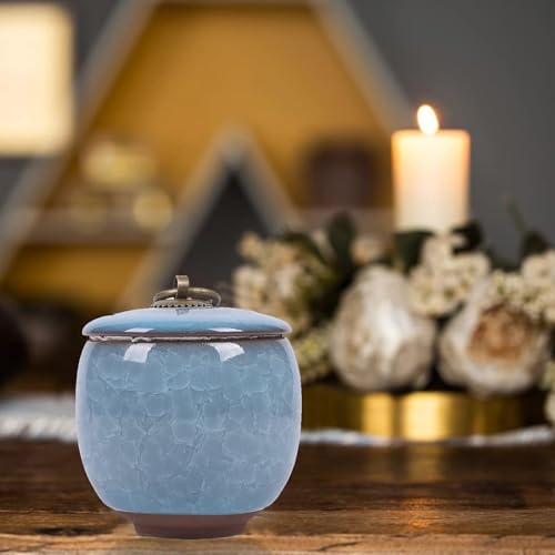 Small Urns for Human Ashes,Ceramic Memorial Mini Ashes Urns,Hold 5.5 Cubic Inches of Ashes,For Human Or Pet Ashes,Beautiful Mini Sharing Funeral Urns with Exquisite Box (Light blue) Light Blue